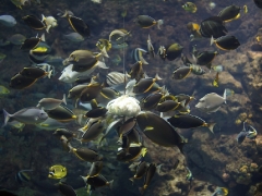 dsc01907