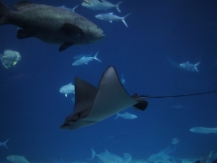 dsc01911