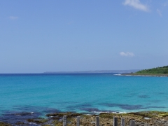 dsc03042
