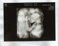 20080522.jpg